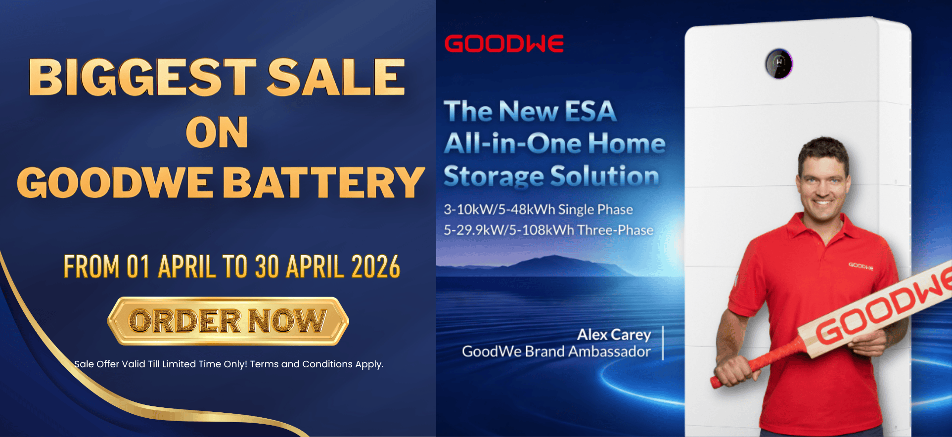 GoodWE Battery Website Sale Banner